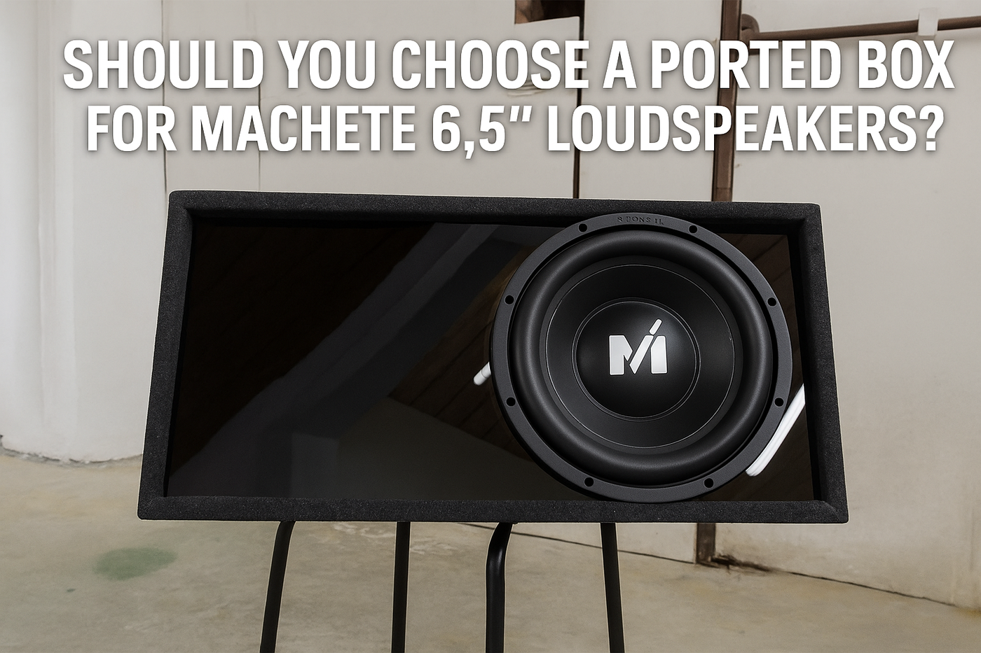 Should You Choose a Ported Box for Machete 6.5โ Loudspeakers?