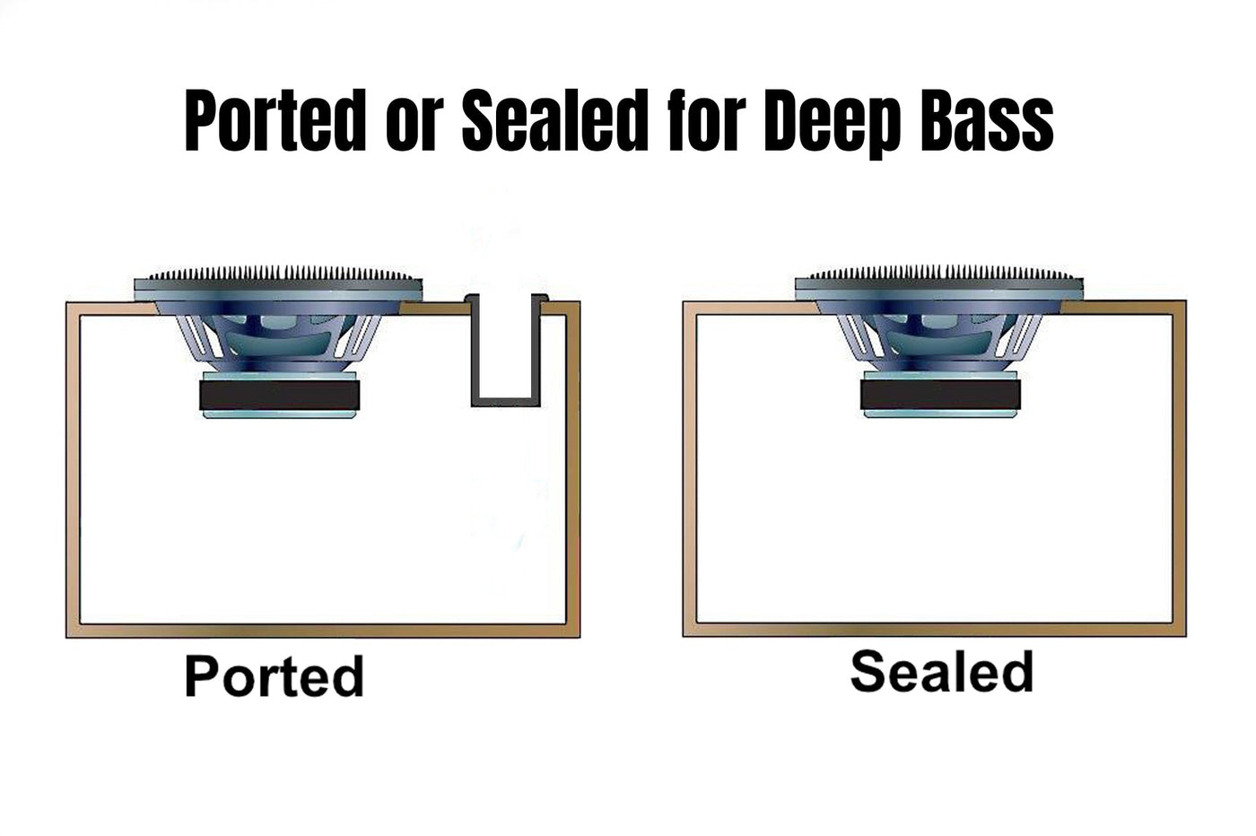 Ported or Sealed Subwoofer
