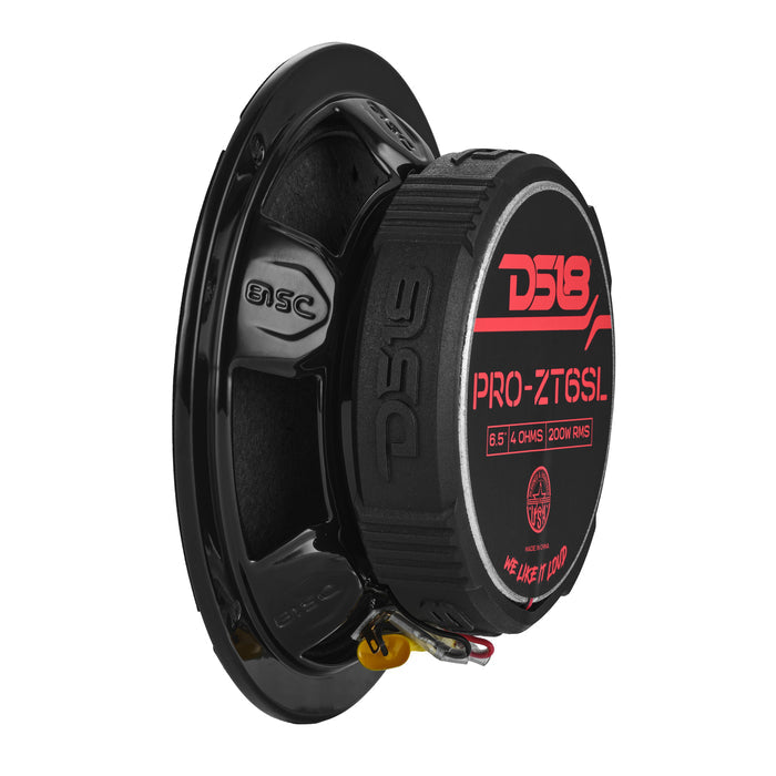 DS18 PRO-ZT6SL 6.5