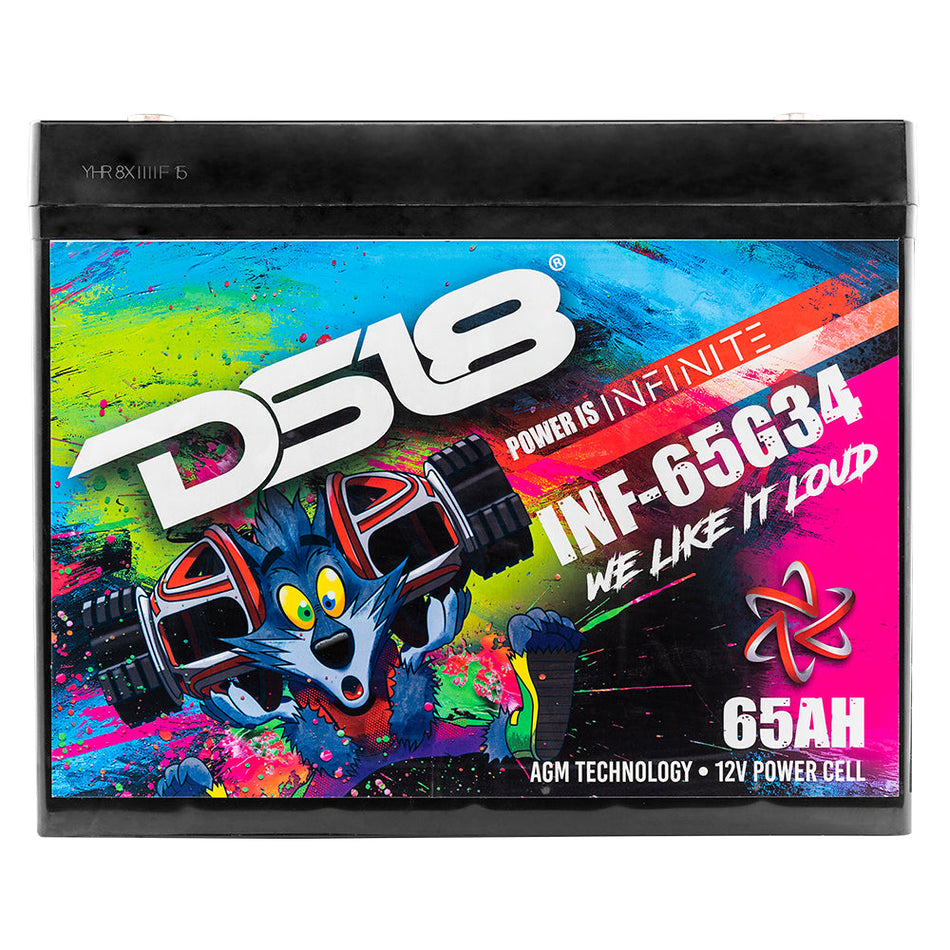 DS18 DS-INF-65G34AH Infinite 65 AH Group 34 Power 12 Volt Battery DS18