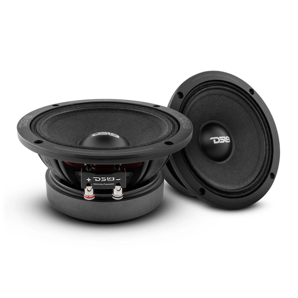 DS18 DS-PRO-ZXI6M, pair of speakers showing front cone and rear terminals angled view